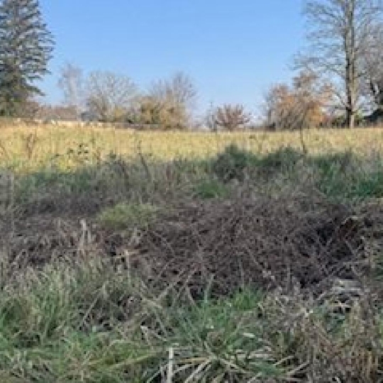  LE VASE IMMOBILIER : Ground | CIRY-SALSOGNE (02220) | 2 100 m2 | 109 000 € 