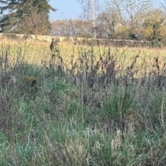  LE VASE IMMOBILIER : Ground | CIRY-SALSOGNE (02220) | 2 100 m2 | 109 000 € 