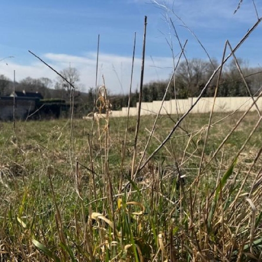  LE VASE IMMOBILIER : Ground | SEPTMONTS (02200) | 0 m2 | 82 000 € 