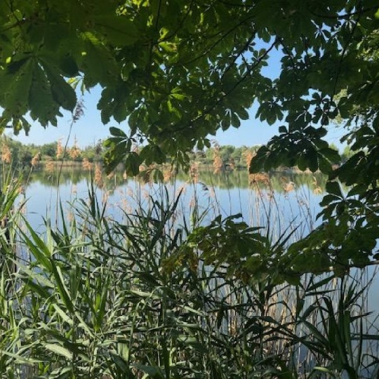 LE VASE IMMOBILIER : Terrain | CROUY (02880) | 0.00m2 | 213 000 € 