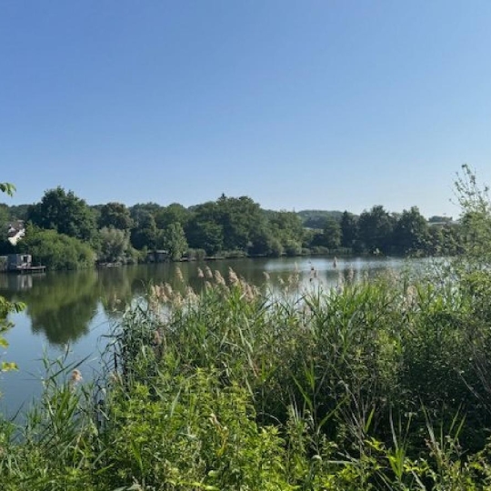  LE VASE IMMOBILIER : Ground | CROUY (02880) | 0 m2 | 213 000 € 