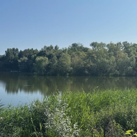 LE VASE IMMOBILIER : Ground | CROUY (02880) | 0 m2 | 213 000 € 
