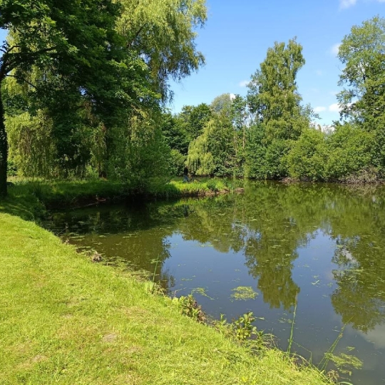 LE VASE IMMOBILIER : Terrain | ANIZY-LE-GRAND (02320) | 17 930 m2 | 99 000 &euro; 