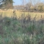  LE VASE IMMOBILIER : Ground | CIRY-SALSOGNE (02220) | 2 100 m2 | 109 000 € 