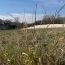  LE VASE IMMOBILIER : Ground | SEPTMONTS (02200) | 0 m2 | 82 000 € 