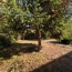  LE VASE IMMOBILIER : Maison / Villa | SOISSONS (02200) | 82 m2 | 192 000 &euro; 