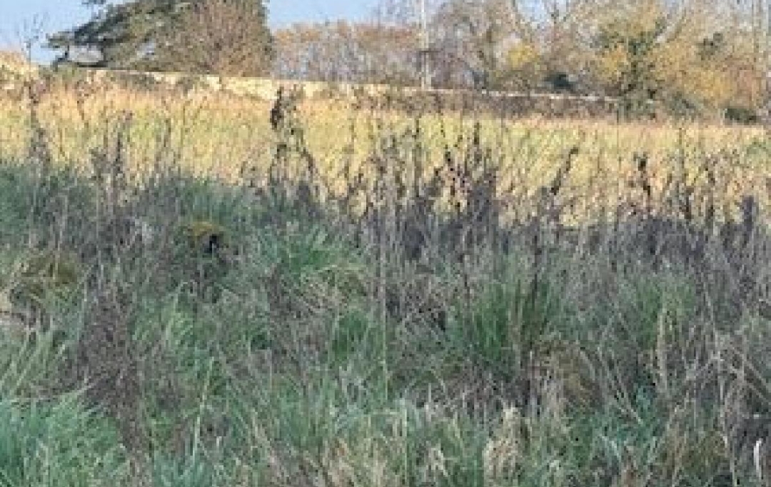 LE VASE IMMOBILIER : Ground | CIRY-SALSOGNE (02220) | 2 100 m2 | 109 000 € 