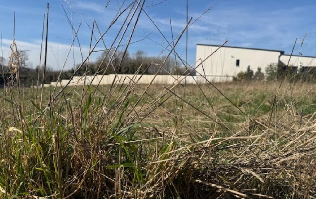 LE VASE IMMOBILIER : Ground | SEPTMONTS (02200) | 0 m2 | 82 000 € 