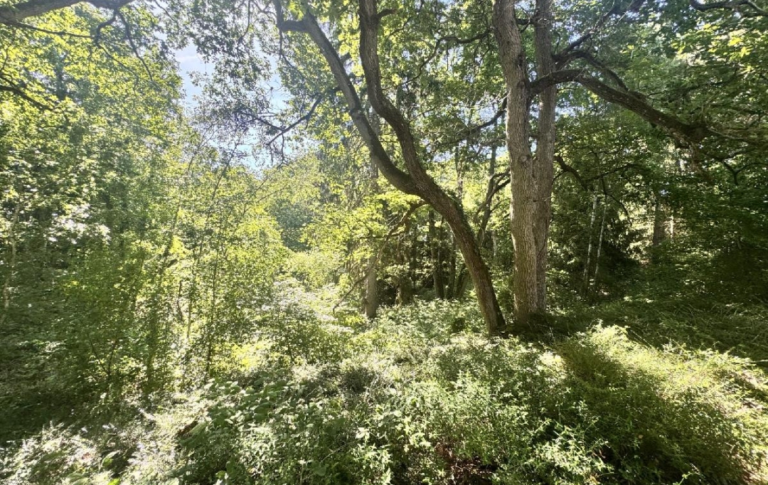 LE VASE IMMOBILIER : Maison / Villa | FERE-EN-TARDENOIS (02130) | 312 m2 | 408 000 &euro; 